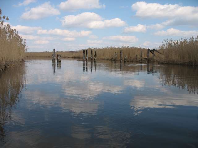 Izobrazhenie_213_2.jpg