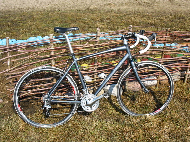 IMG_0626ss.jpg
