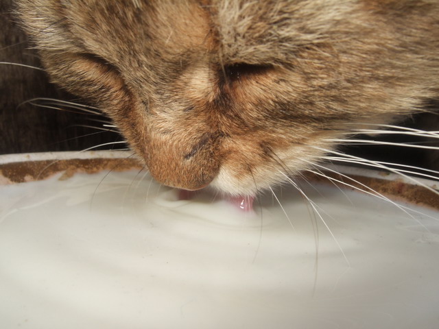 DSCF2085.JPG