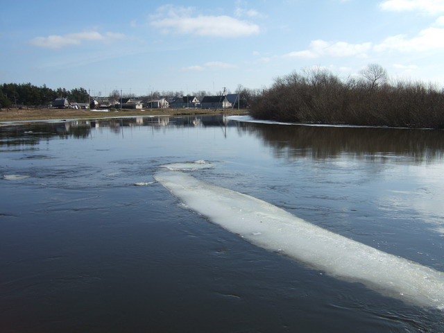 DSCF7377.JPG