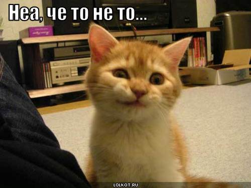 chto-to-ne-to_1273808612.jpg