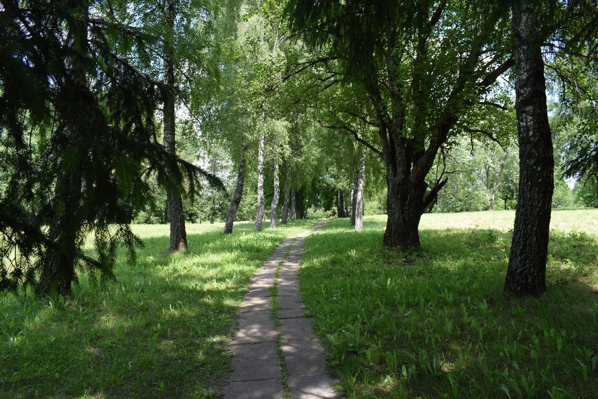 030.JPG