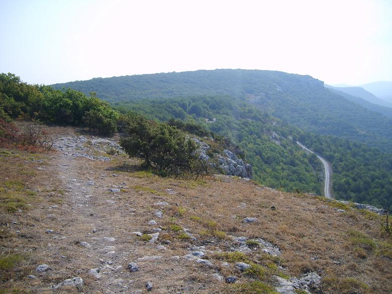 S6002612.JPG