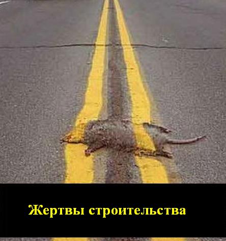 Dvojnaia.JPG