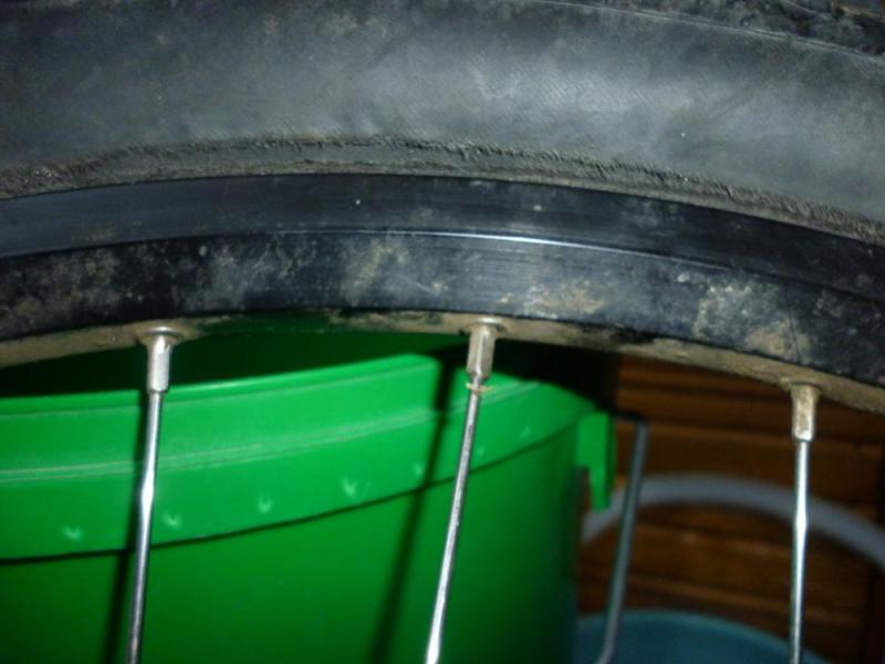 P1000793_2.jpg