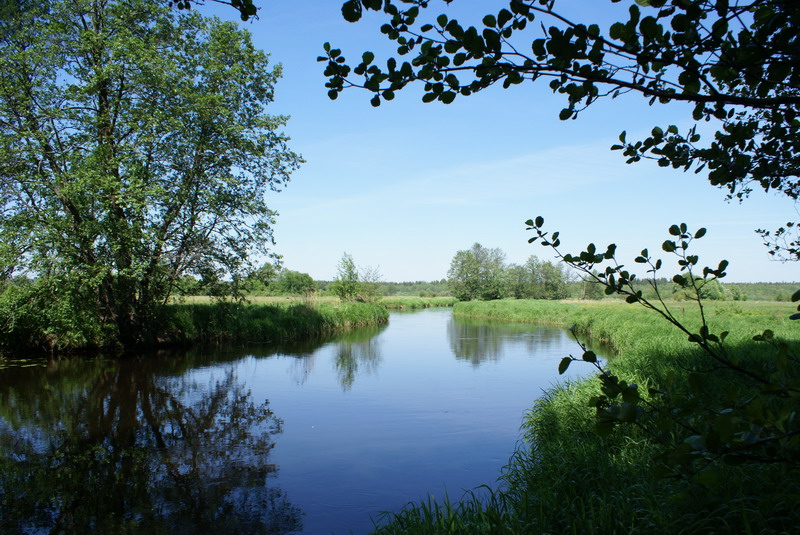 DSC06814_resize.JPG