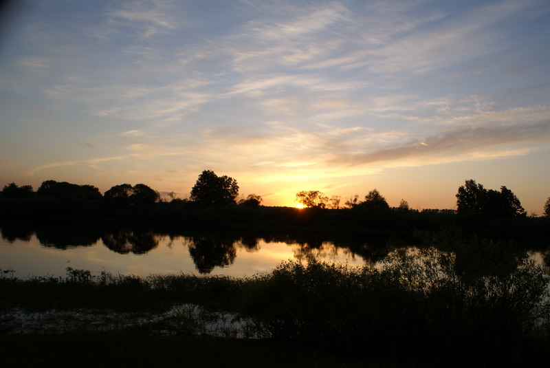 DSC06873_resize.JPG