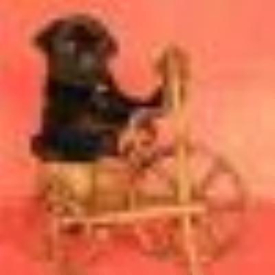 MOPS