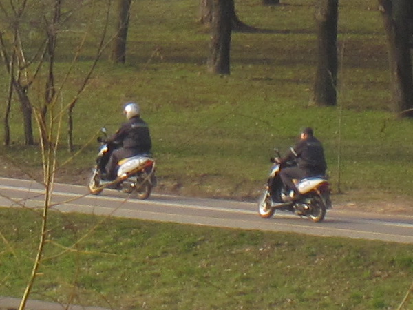 IMG_18781.jpg