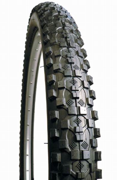 Resize_of_Kenda_Komodo.jpg