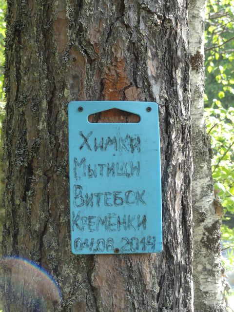 DSC04286.JPG