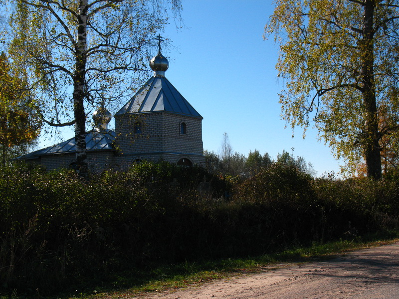 IMG_2966x.JPG