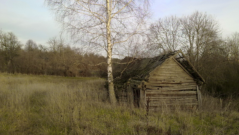14112010978x.jpg