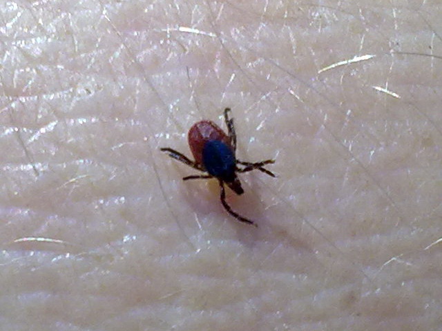 050920111876t.jpg