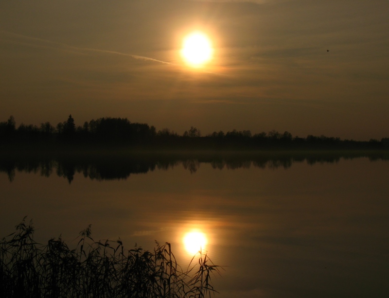Skobroe.jpg