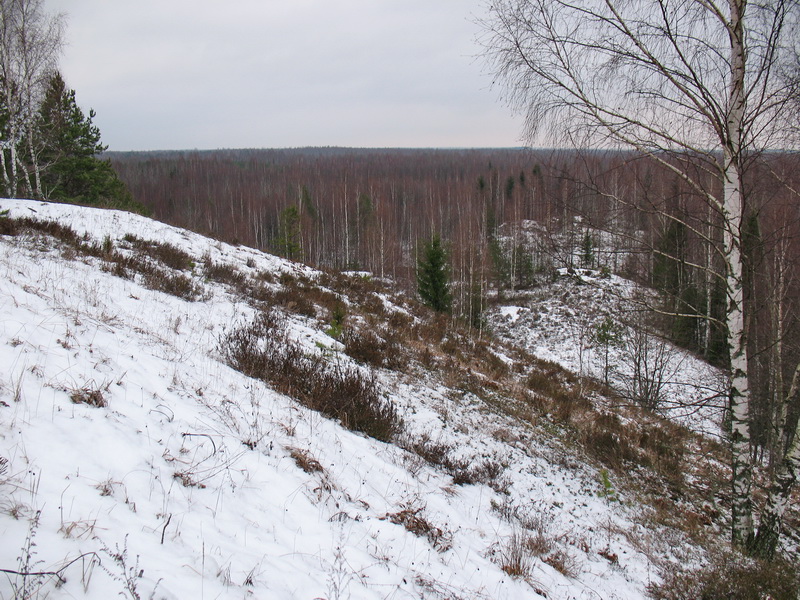 IMG_1749x.jpg