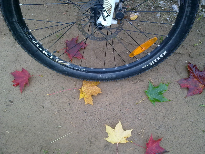 23092012050x.jpg