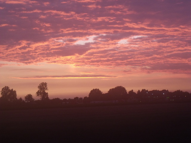 DSCF1287.JPG