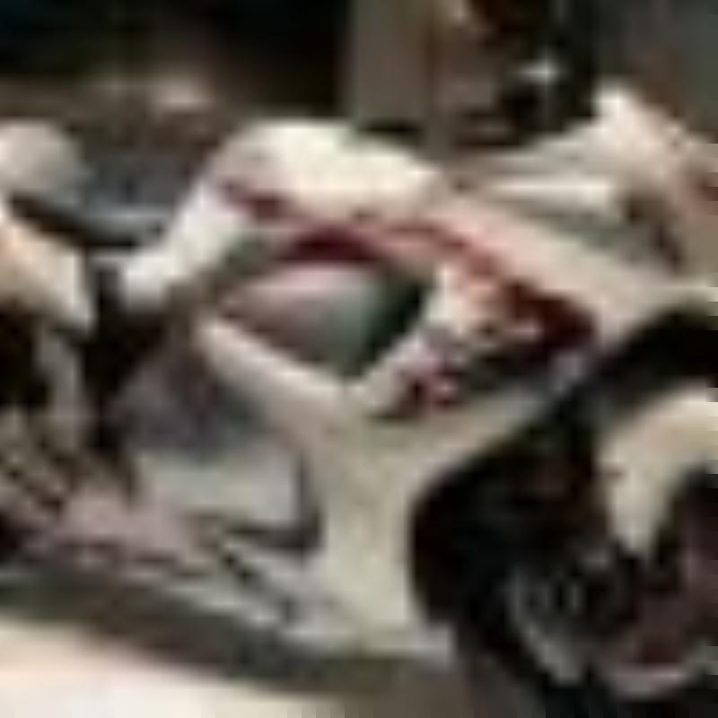 Vitto
