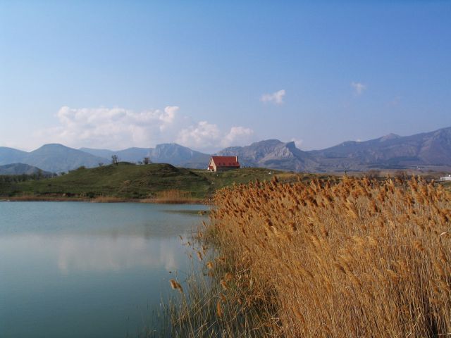 IMG_7402.jpg