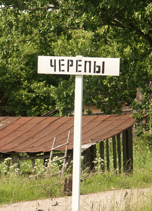 c1erepii.jpg