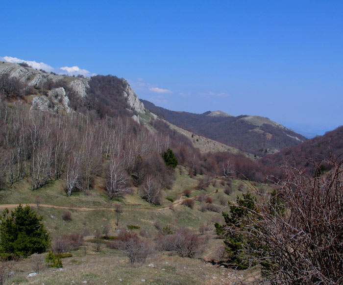 kr020.jpg