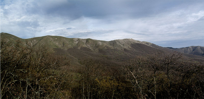 kr065.jpg