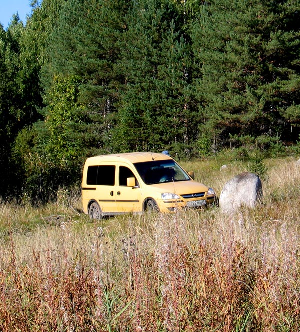 264.jpg