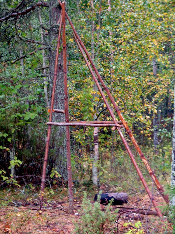 346.jpg