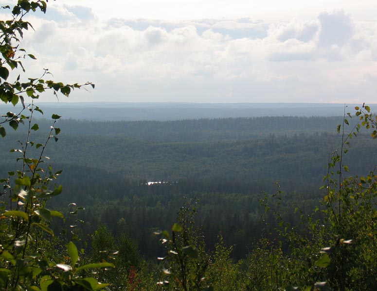 359.jpg