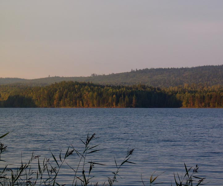 395.jpg