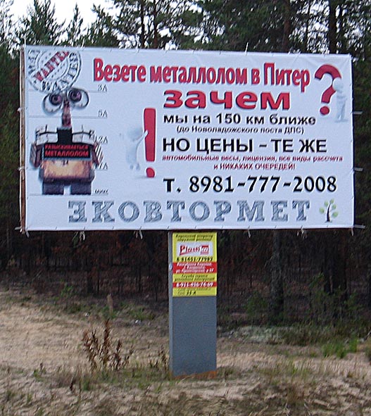 462.jpg