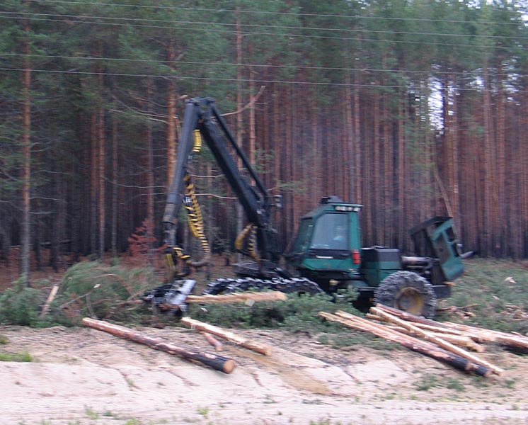 463.jpg