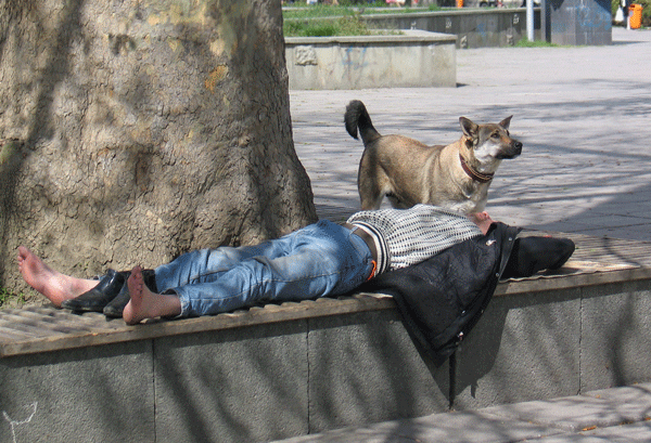 IMG_1469.gif
