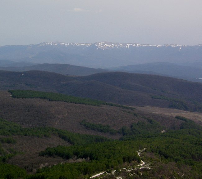 IMG_1106_2.jpg