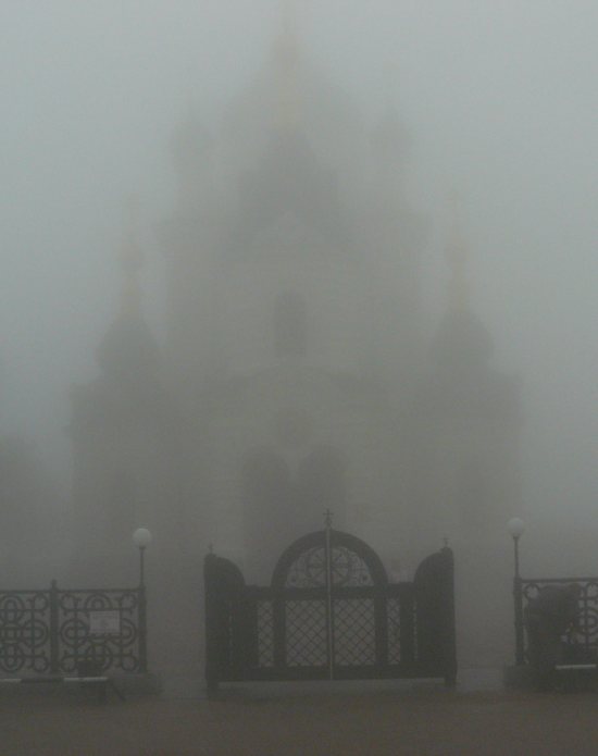P1170563.jpg