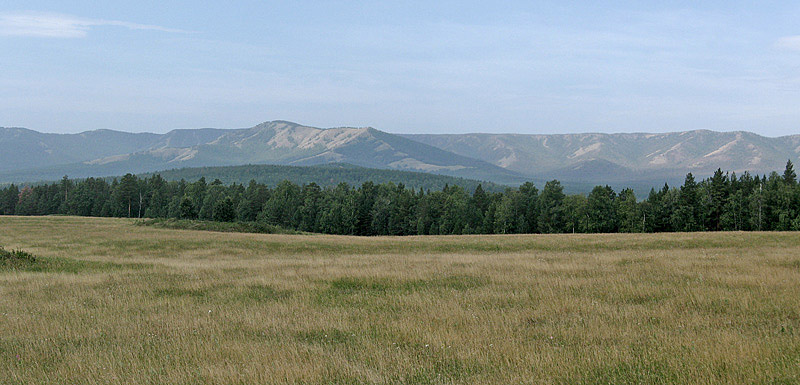 377a.jpg