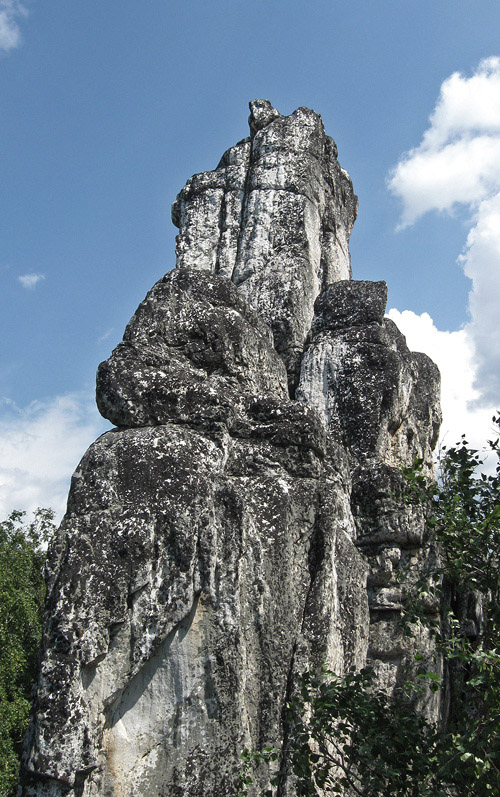 475.jpg