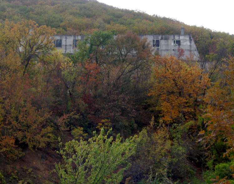 Izobrazhenie_229_2.jpg