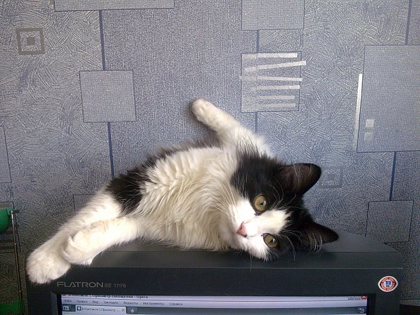 x_e8980614.jpg