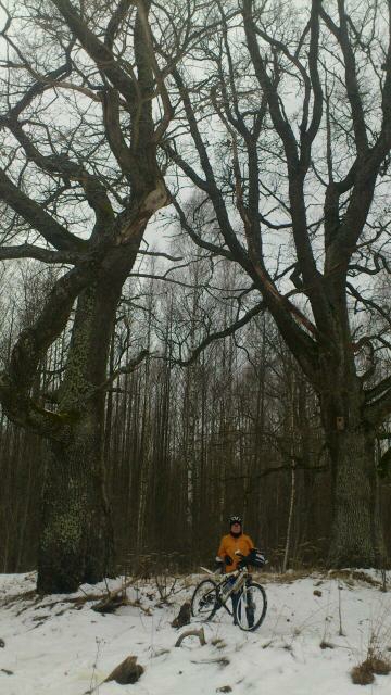 image-c9f68dd5cbd1e90471e49bd012a1b3a74421096d89ad156dd30f64834666a901-V.jpg