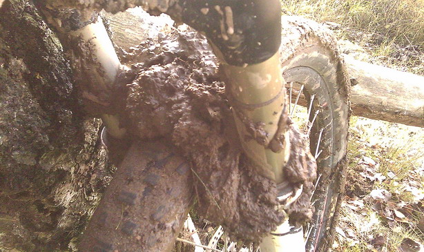 MUD.jpg