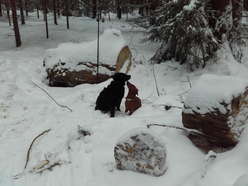 27.01.2019.jpg