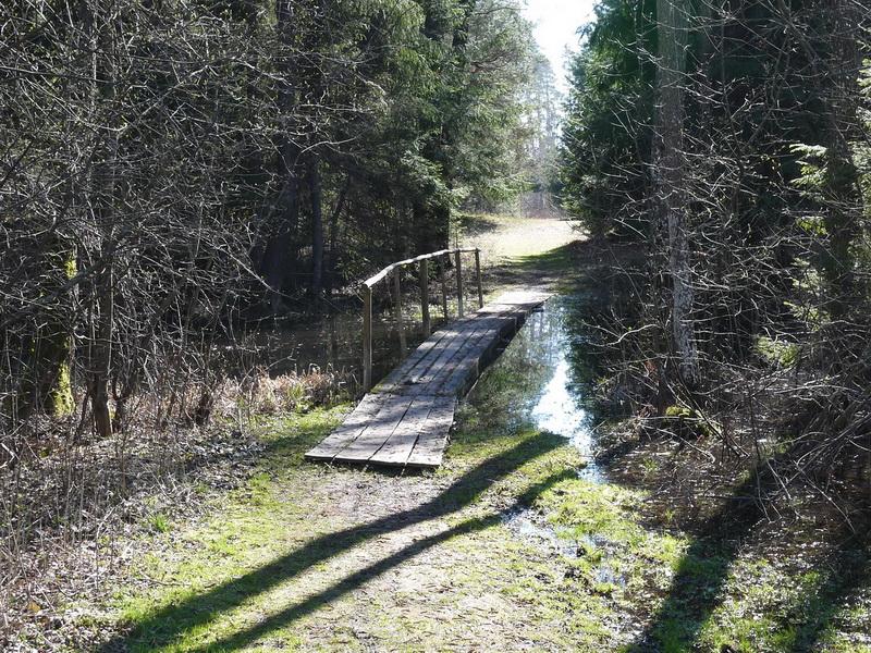 P1010699_2.jpg