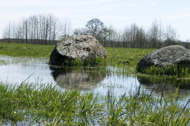 2stones.jpg