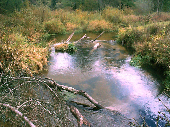DCP11748eh.jpg