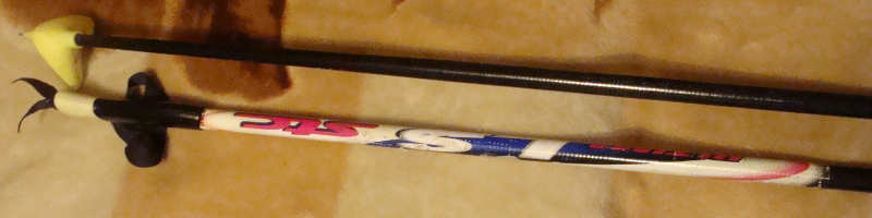 p1.JPG