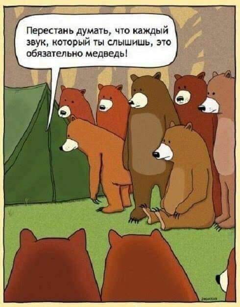 medvedy.jpg