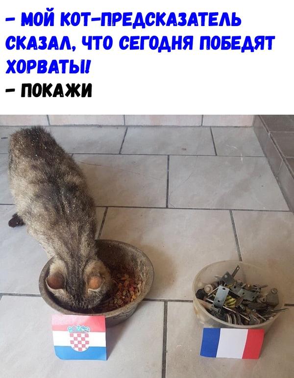 5b4b39bf748d6_-2018----4589786.png.19bd8b2d3f36b7a6a328a19689dbcf8d.jpg
