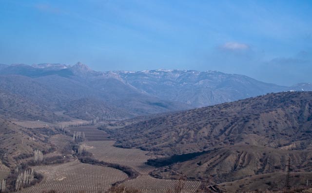 _MG_3907.jpg